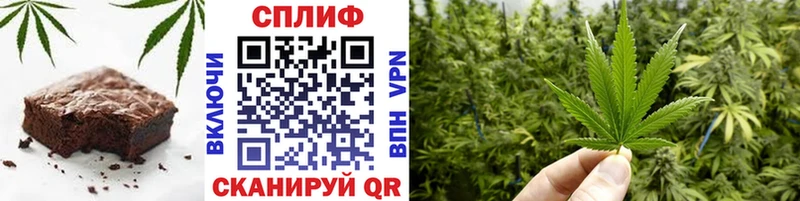 Cannafood конопля  Ленинск 